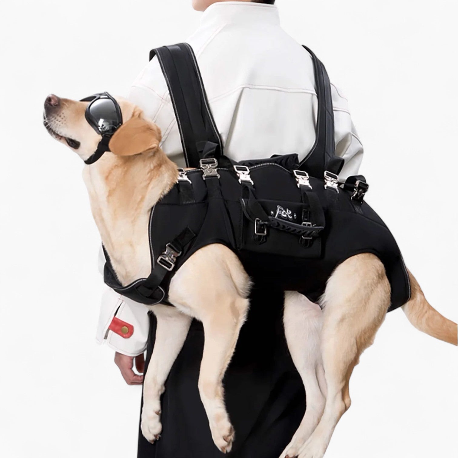 – Carrier For Small And Big Dogs For French Bulldogs | Safe For Paws