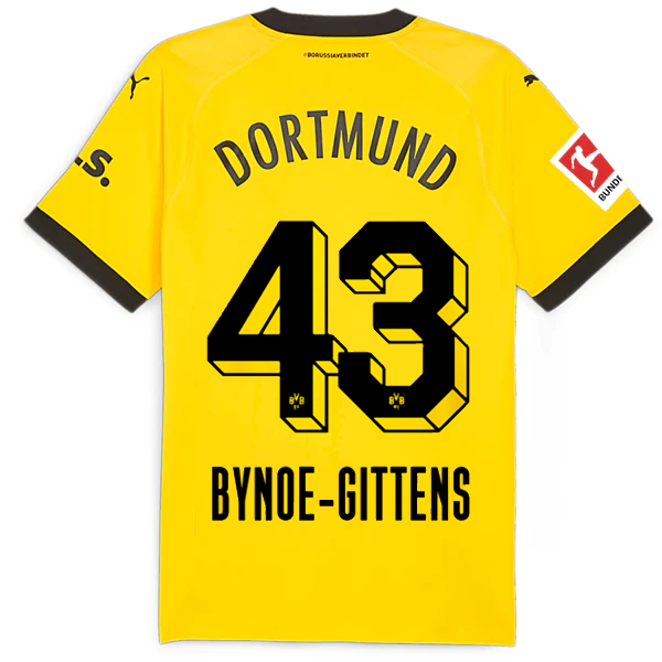 Borussia Dortmund Patch 2023-2024 Bun Home Jersey – Authentic Shirt