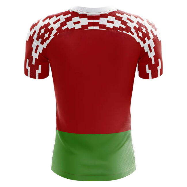 2025-2026 Belarus Home Concept Football Shirt - Womens