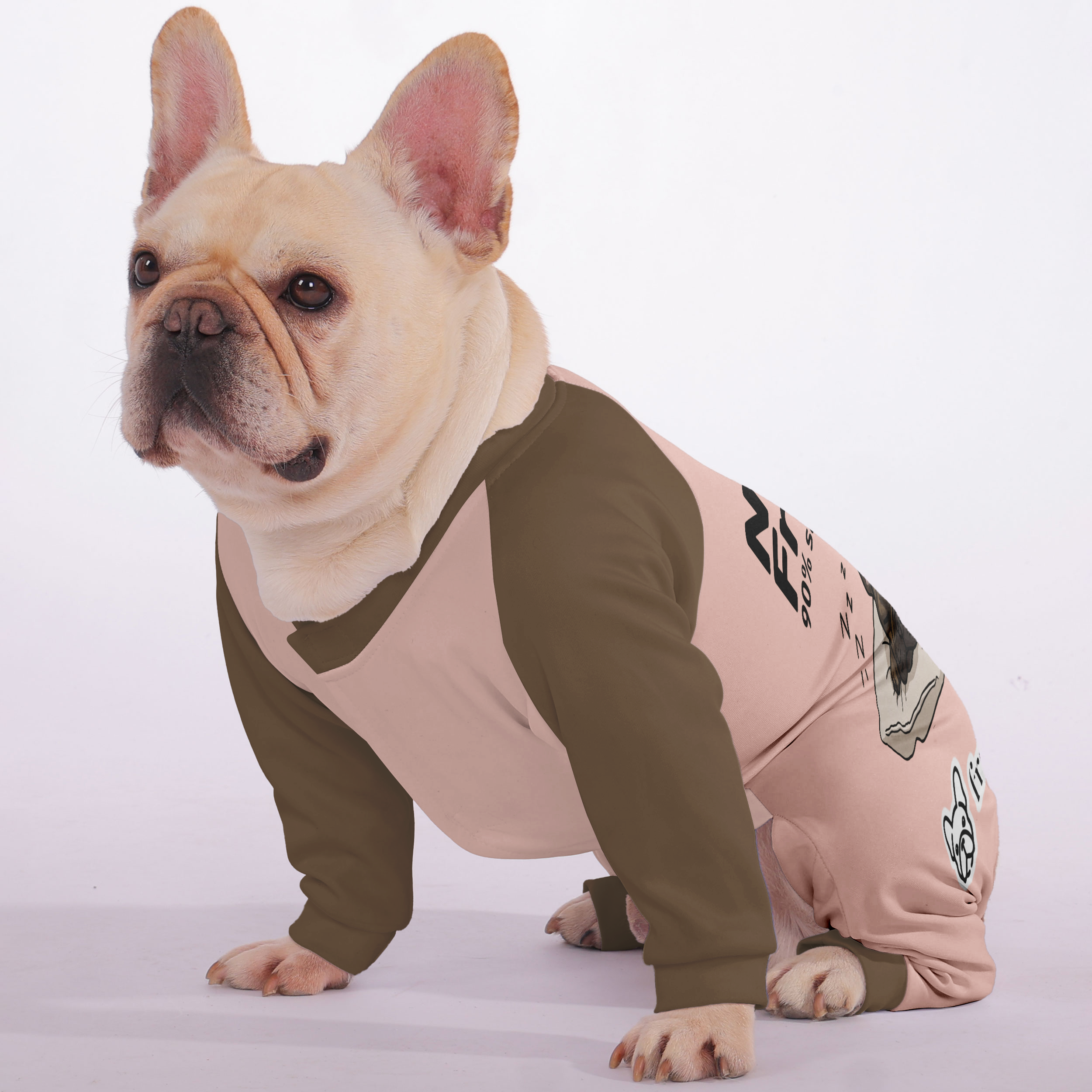 Nap like a Frenchie: 90% sleep, 10% chaos - Frenchie Pajamas – Ultra-Soft, Cozy, & Adorably Stylish