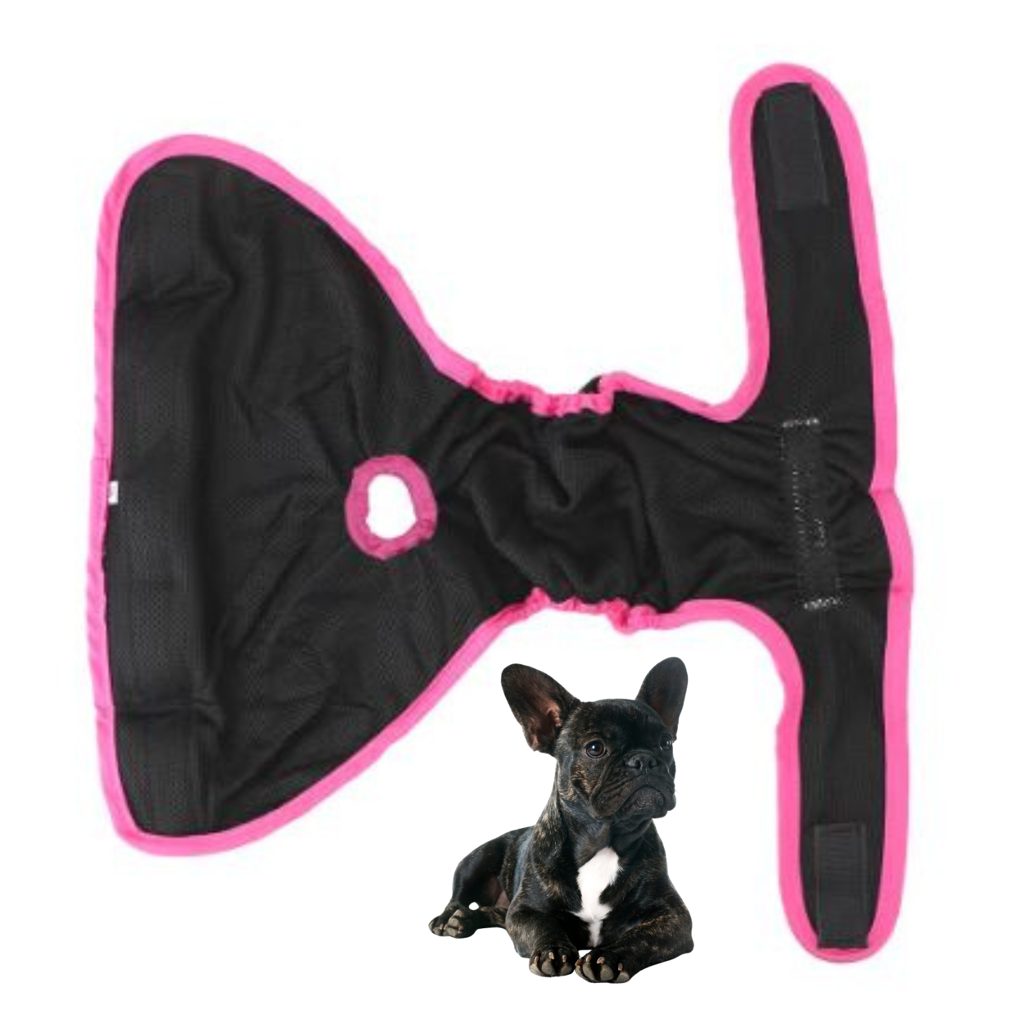 Adjustable French Bulldog Shorts Diaper