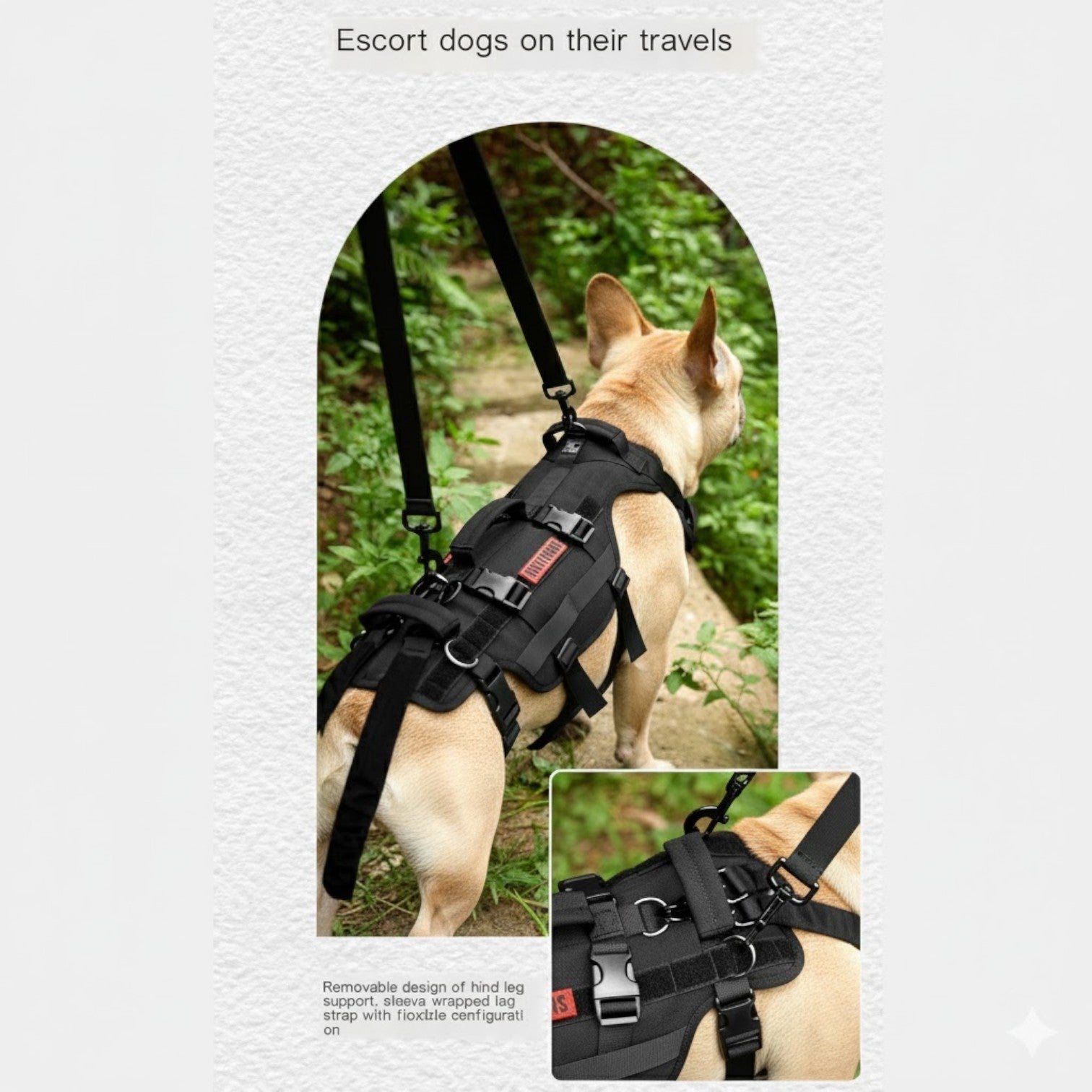 Soft Frenlift™ Frenchie Support Harness – Heavy-duty Walking Aid Dog ...