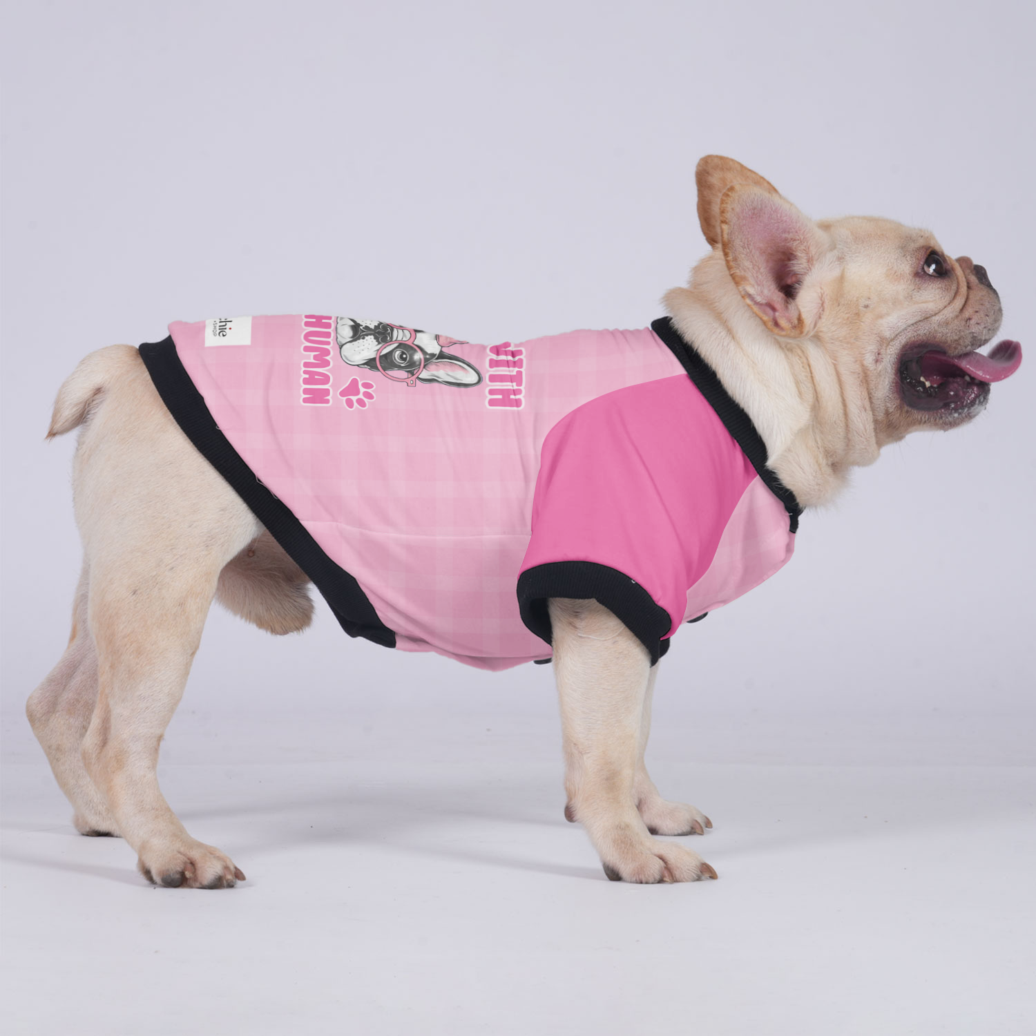 I'm with the human - Jacket for French bulldog