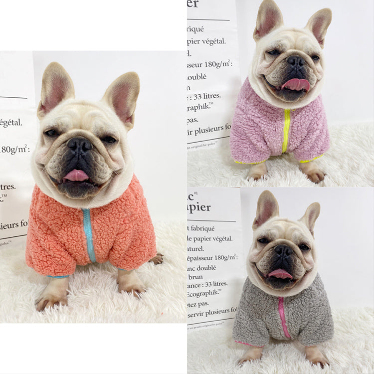 Minimal-Aesthetic Trendy Winter Cloth For French Bulldog (wj12) for F...