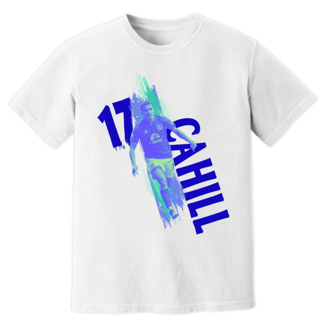 Professional 2025-2026 Everton T-shirt With Classic Design