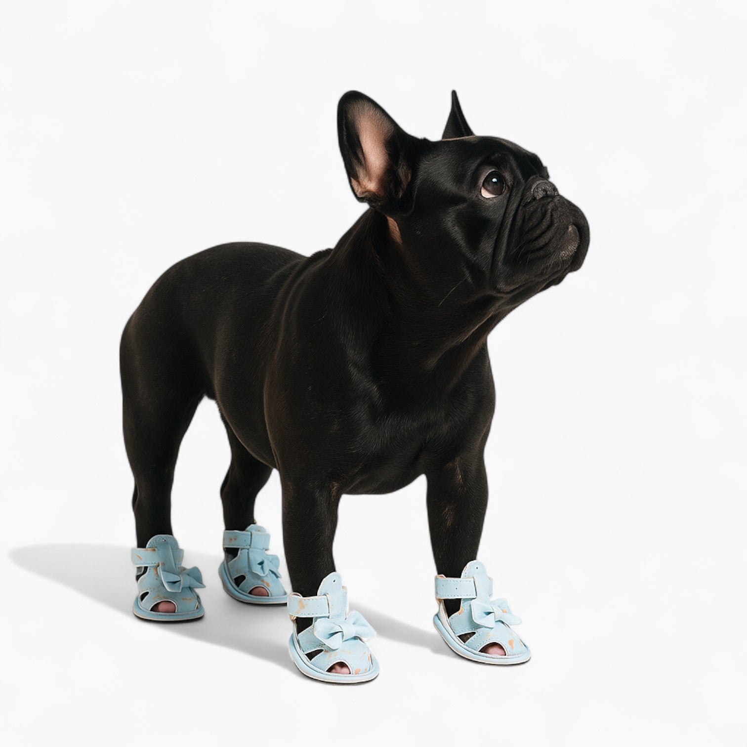 Pet-Lover Lovepaw Frenchie Bow Sandals – Adjustable Adorable Heart Sh...