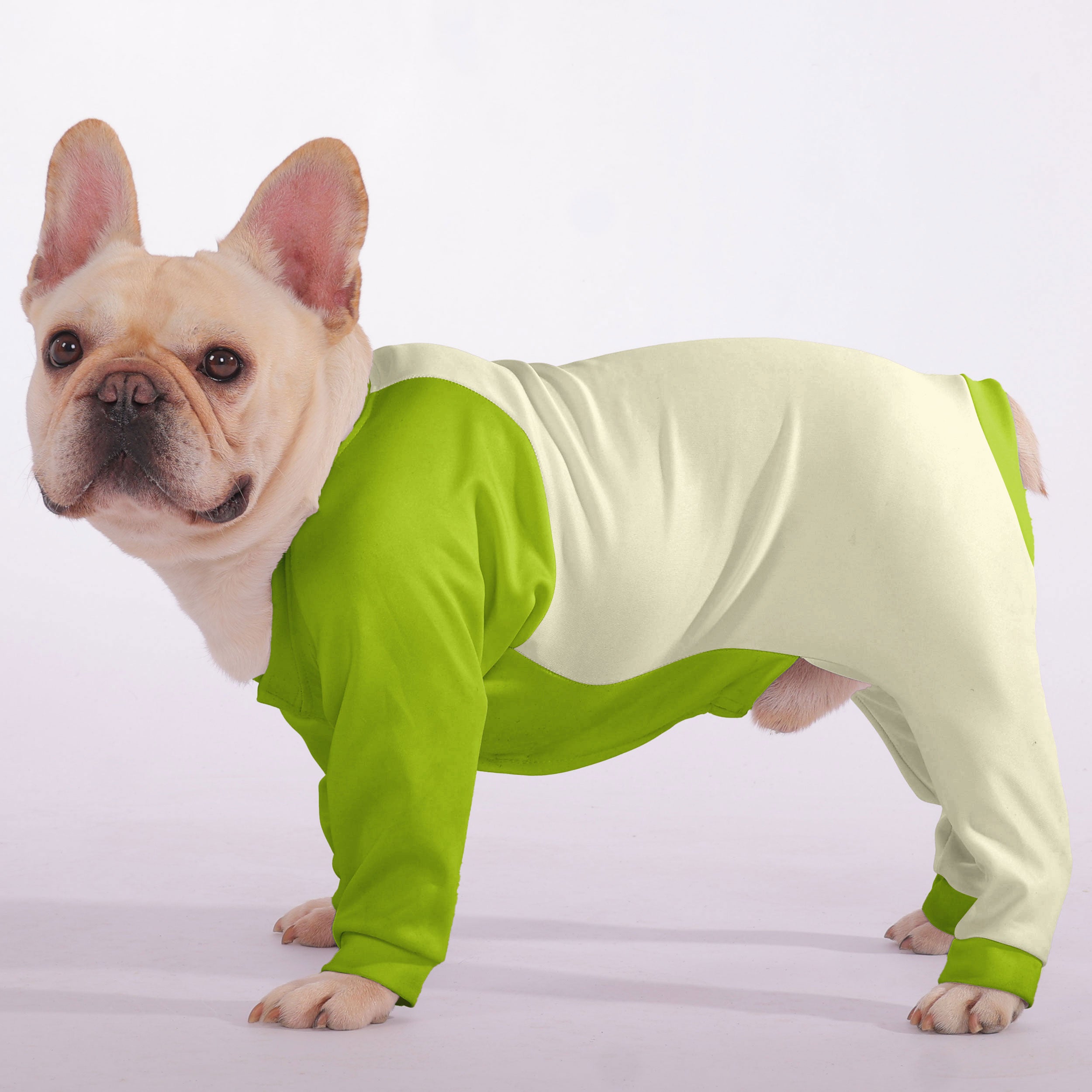 Warm Gaston - Bulldog Frenchie Pajamas For Frenchie Pups