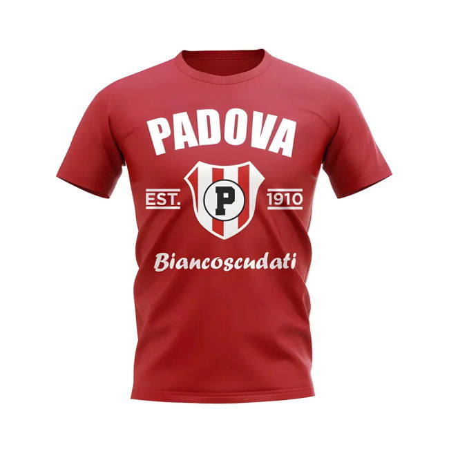 High Quality 2025-2026 Football Team T-shirt With Modern Design