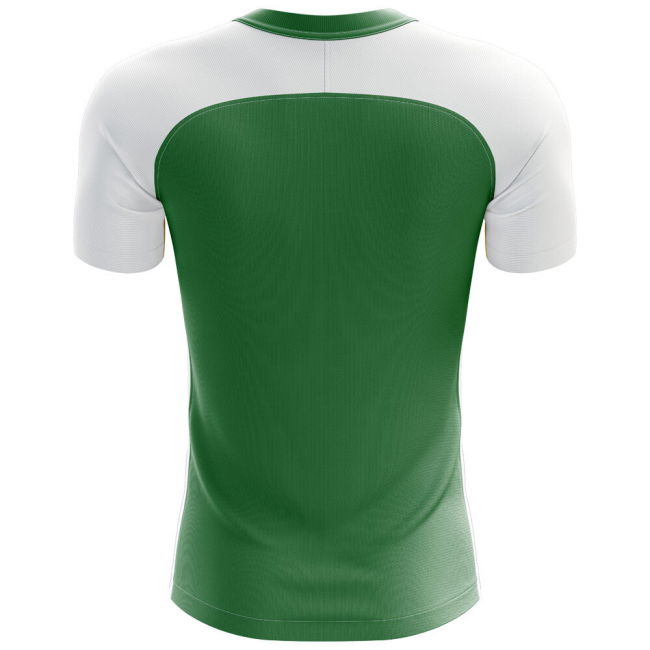 Enhanced Nigeria Home Jersey 2025-2026