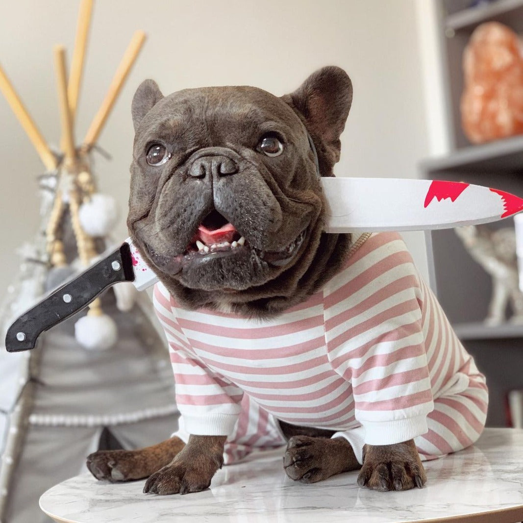 Frenchie-Fan Halloween Accessories For French Bulldog for Fashion Lovers