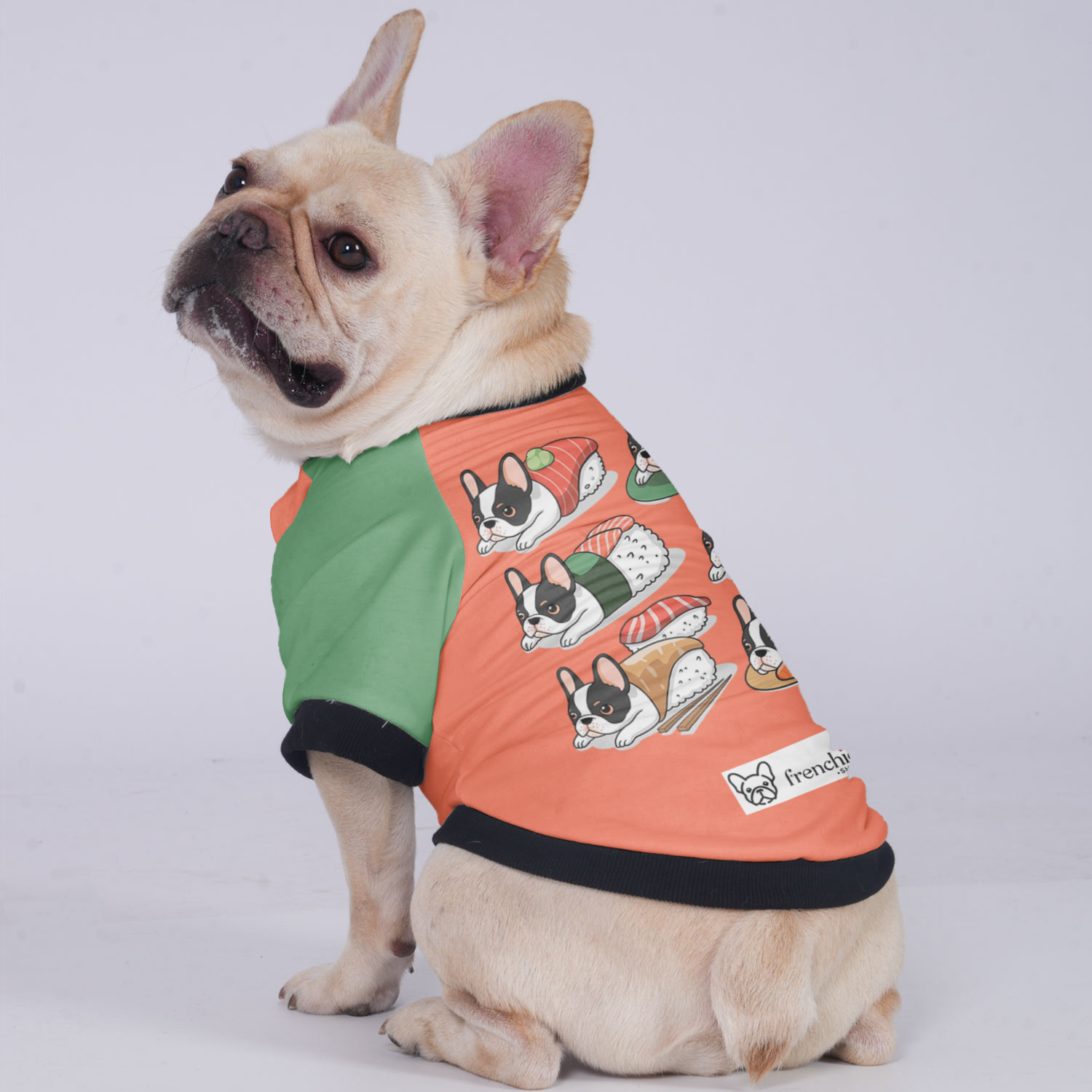 Everyday Fushi- Jacket For French Bulldog for Fashion Lovers