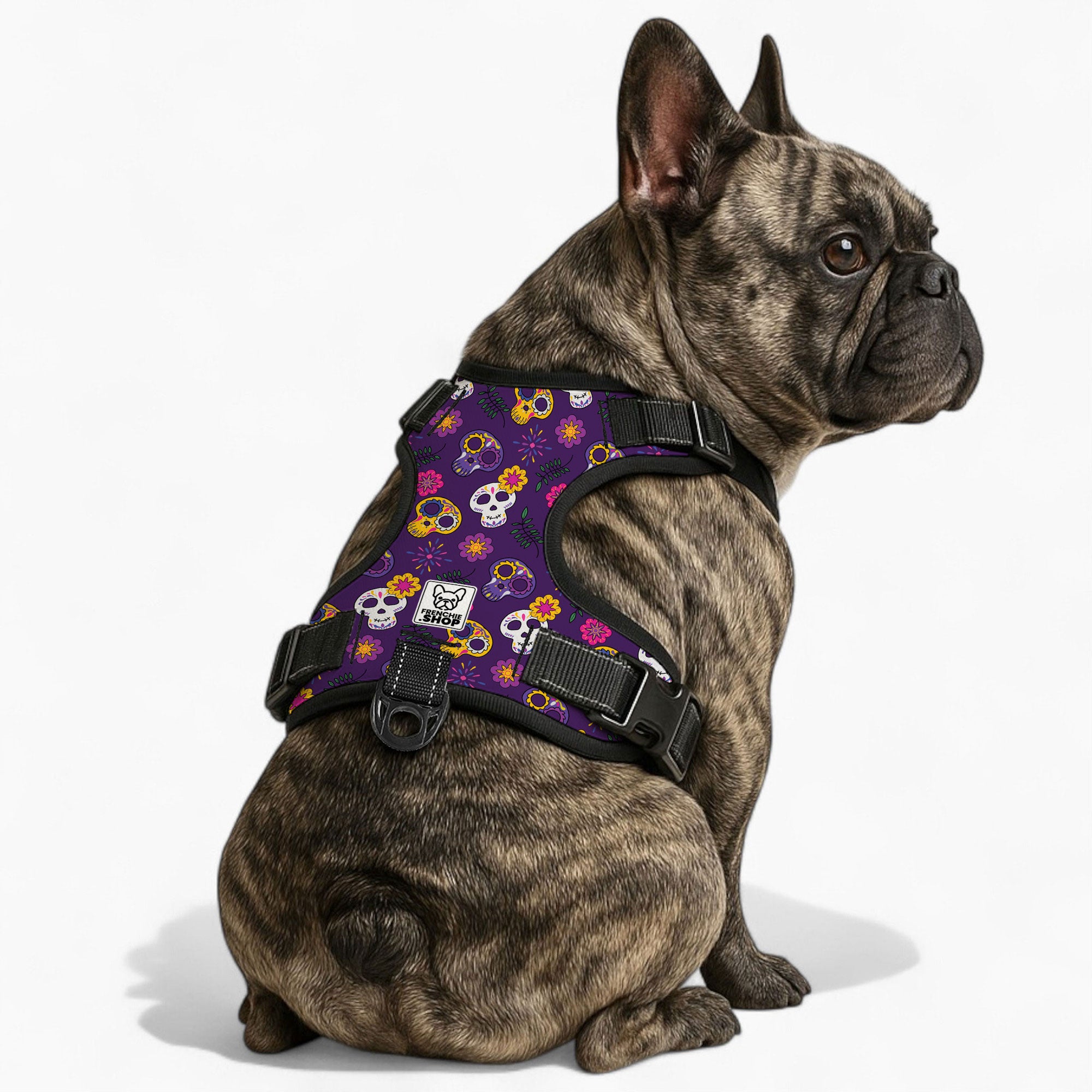 Vet-Approved Kobe - No-pull French Bulldog Dog Harness for Playtime