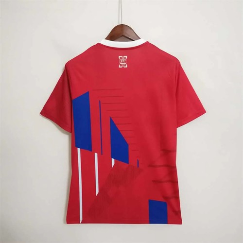 Replica 2022 International Camiseta With Classic Design