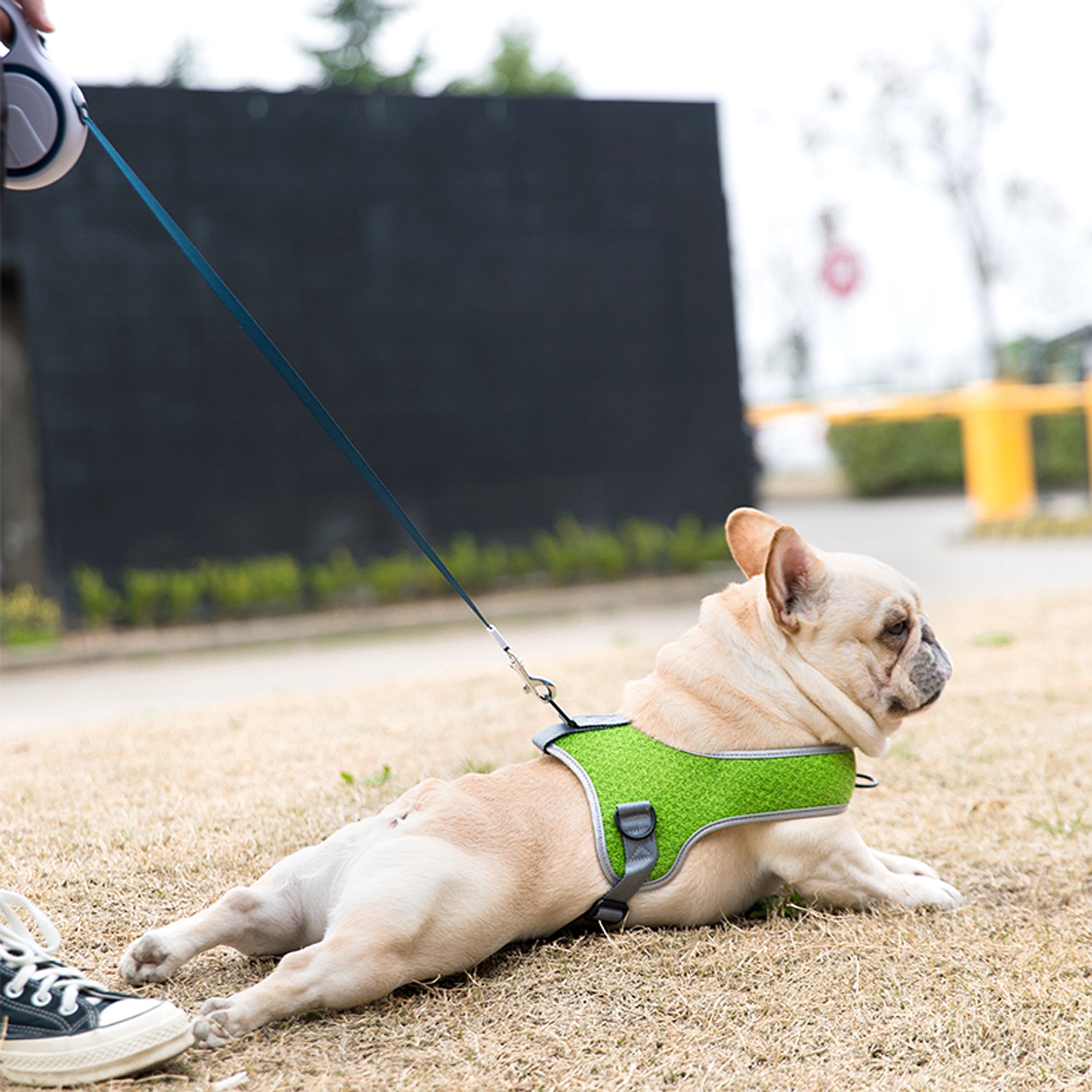 Pressure-Balanced Pawsmotion Premium French Bulldog Harness Vest With...