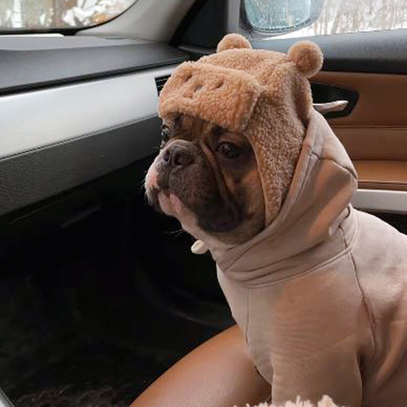 Adorable Winter Hat With Earflaps & Cozy Wool Casual Wear | Comfy Fit