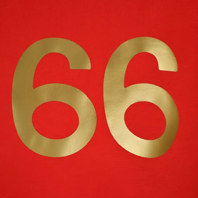 England 1966 World Cup T-Shirt