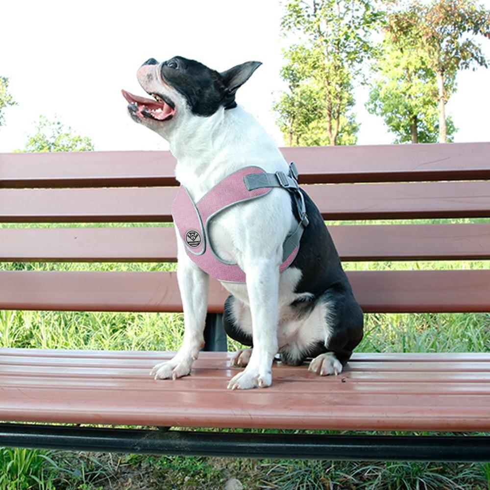 Airflow-Friendly Secure-Fit Reflective Harness (ws56) for Playtime