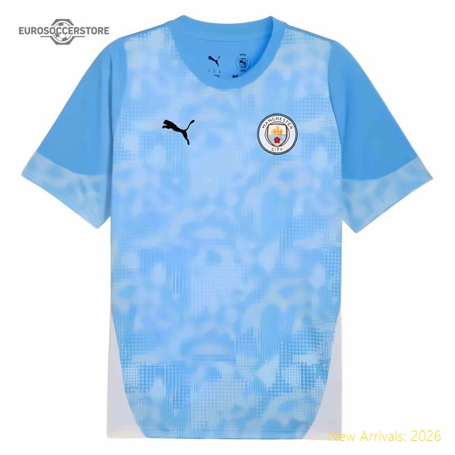 Official Premier League Team Training Silva Jersey 2025-2026