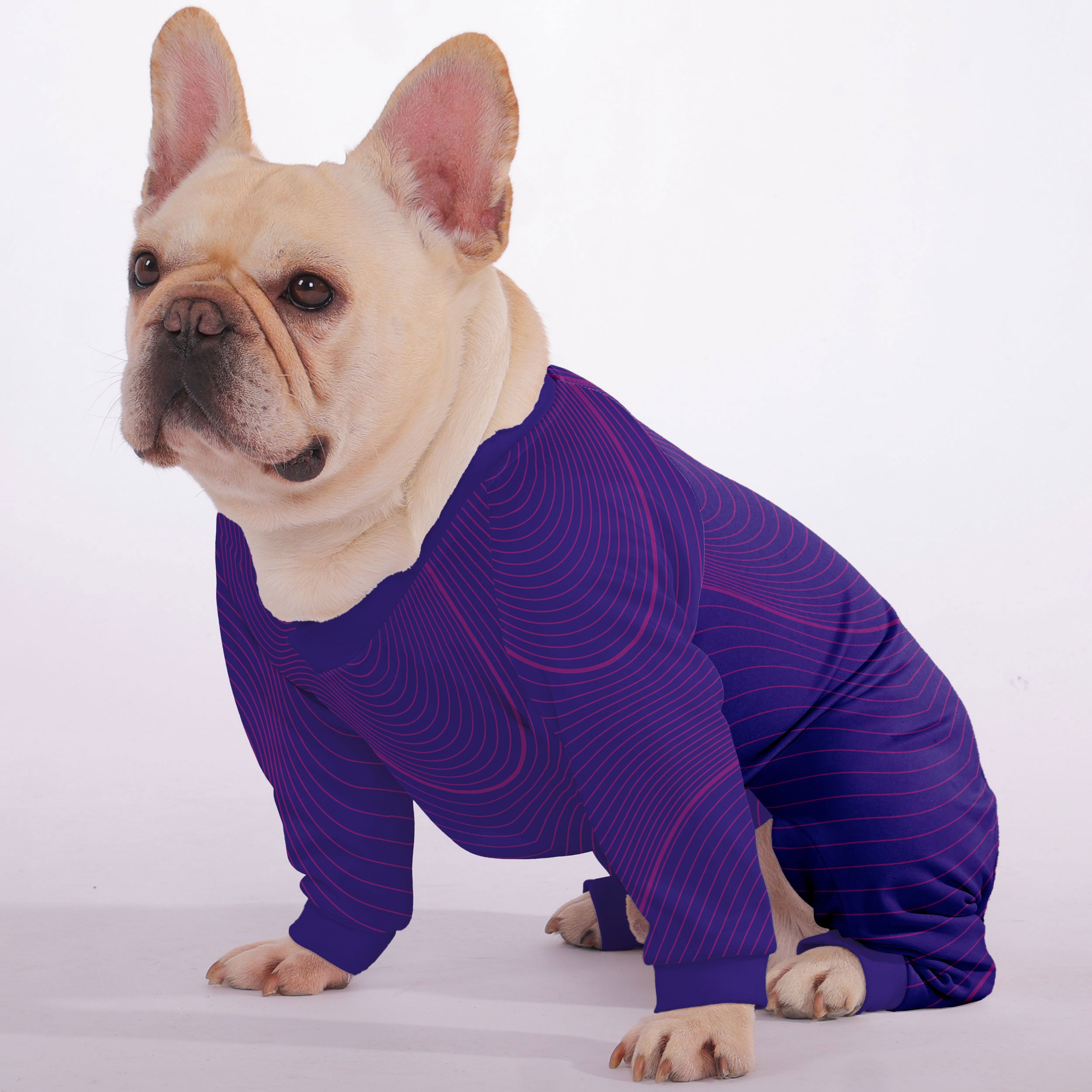 Chester - Frenchie Pajamas