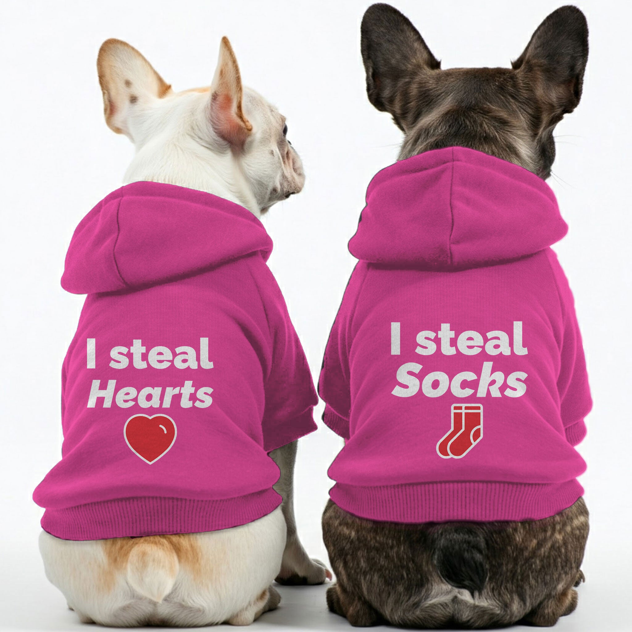 Bulldog Hoodies – Stylish, Cozy & Personalized! Frenchie Themed Wear