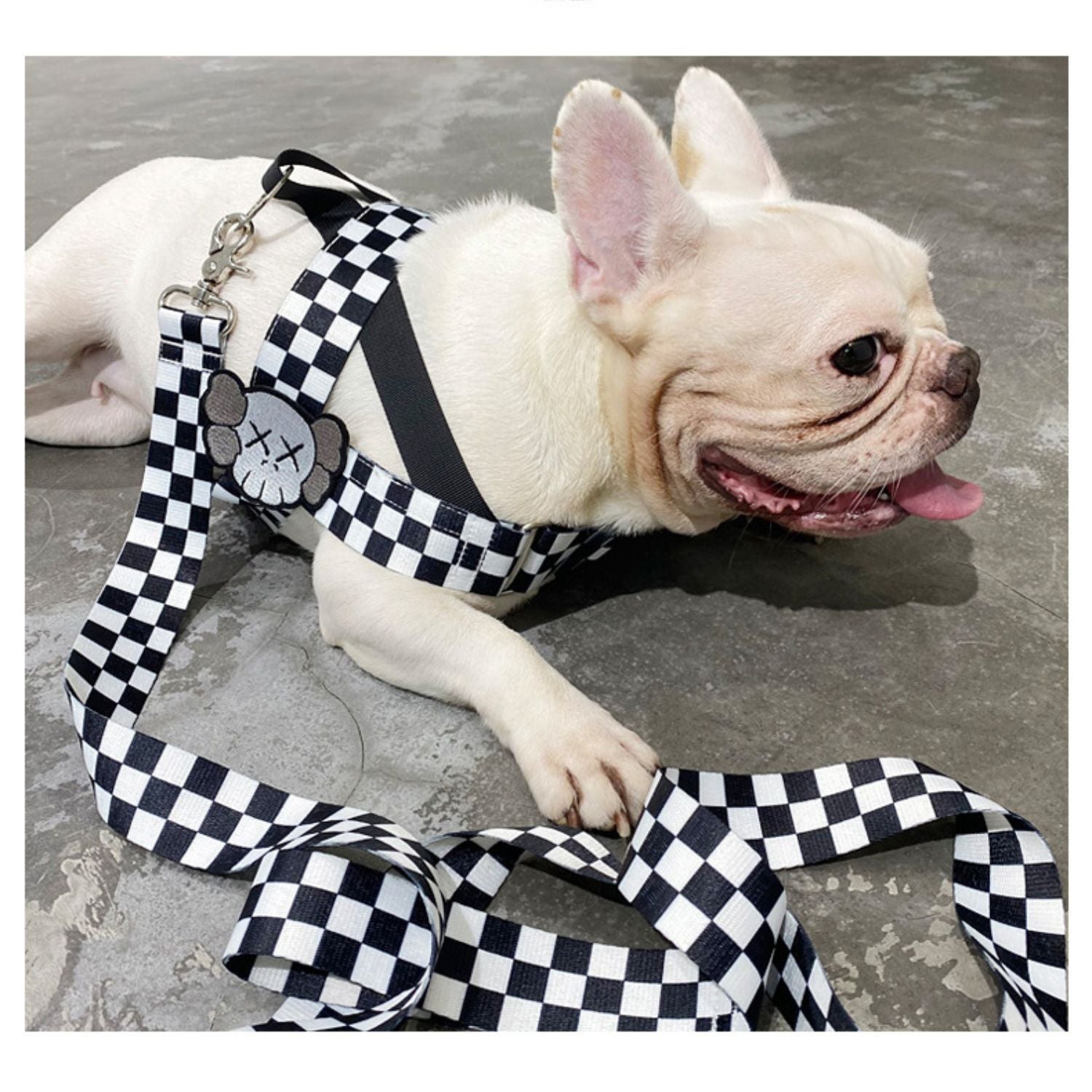 French Bulldog Pupjoy Comfort Fit Frenchie Harness With Secure Buckles Practical Dog Gear