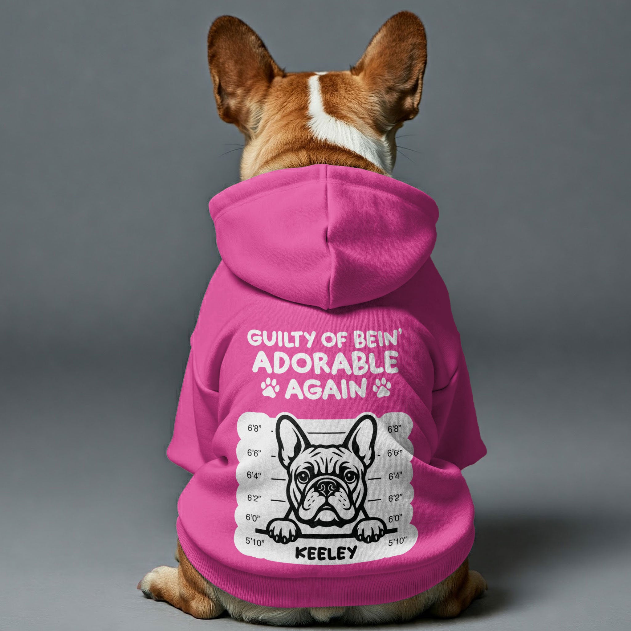 Guilty of bein’ adorable - Personalized French Bulldog hoodies with funny quotes and your furry friend's name– Stylish, Cozy, and Premium 100% Cotton