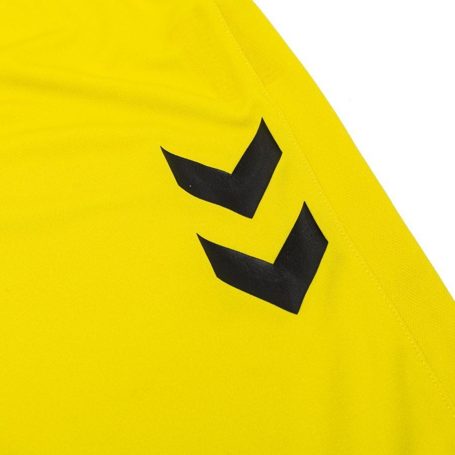 [EFKS] Denmark Shorts Goalkeeper Kit 2024/25