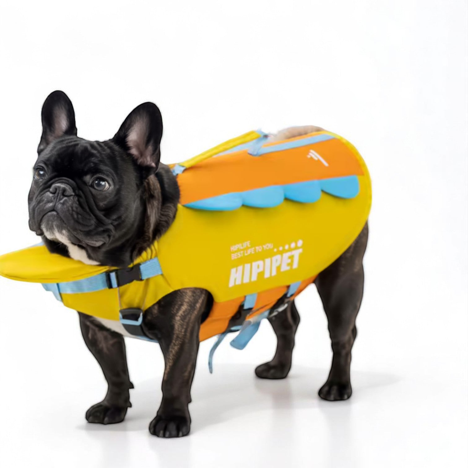 French Bulldog Frenchie Summer Swim Vest – Strong Floating Life Jacket