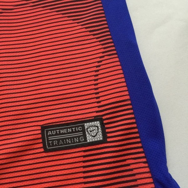 Authentic Lightweight Holland 2015-16 Blue-Red Training Shirt