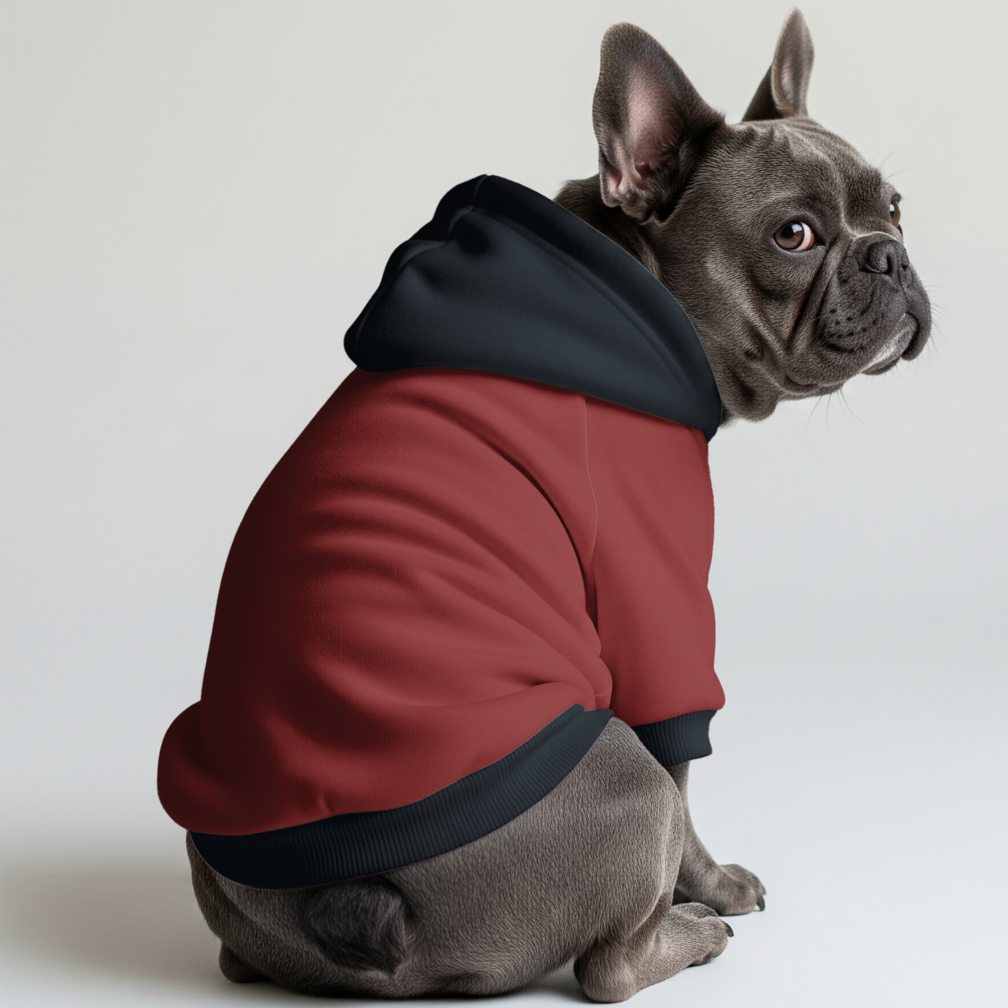 Comfy Loki - Bulldog Inspired Frenchie Hoodie Outdoor Style