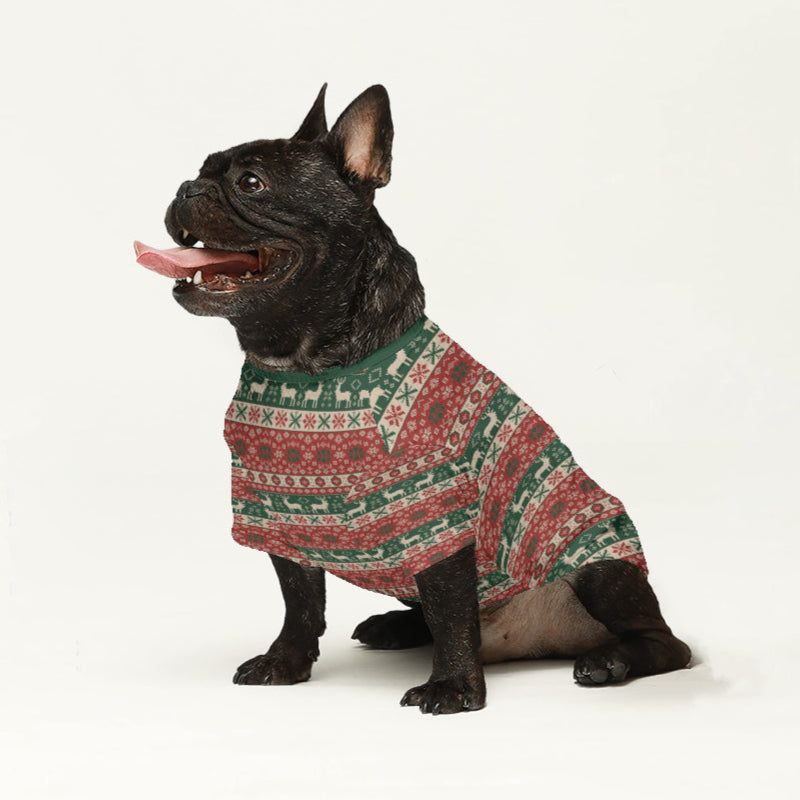 Fashion-Forward Cleo - Wool Sweater For Frenchies - Ugly Christmas Sw...