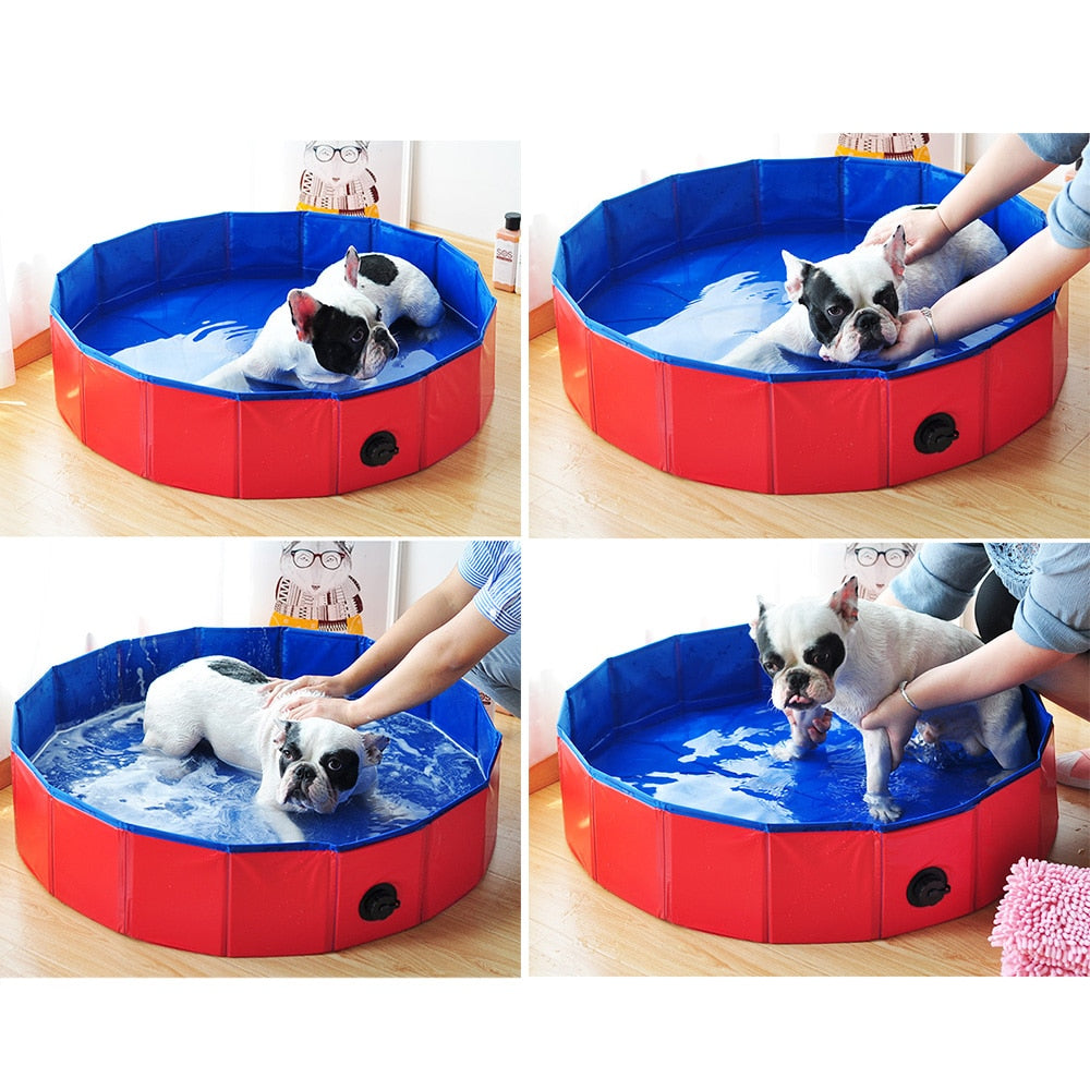 French Bulldog Poolmax Tm : Foldable Swimming Pool For Pet (cs12) Durable Dog Item