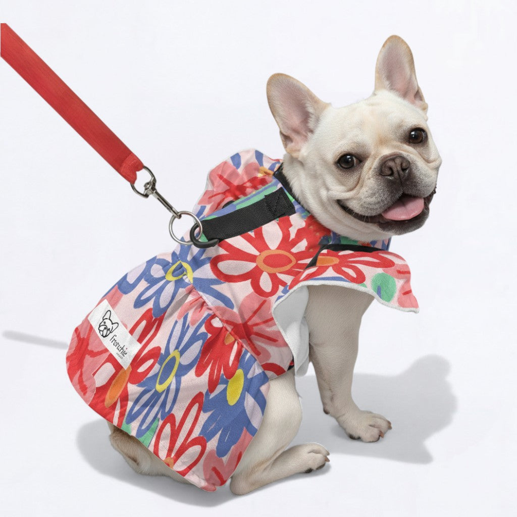 Fashion-Forward Nool - Adorable Dress For Frenchie Girls for Daily Life