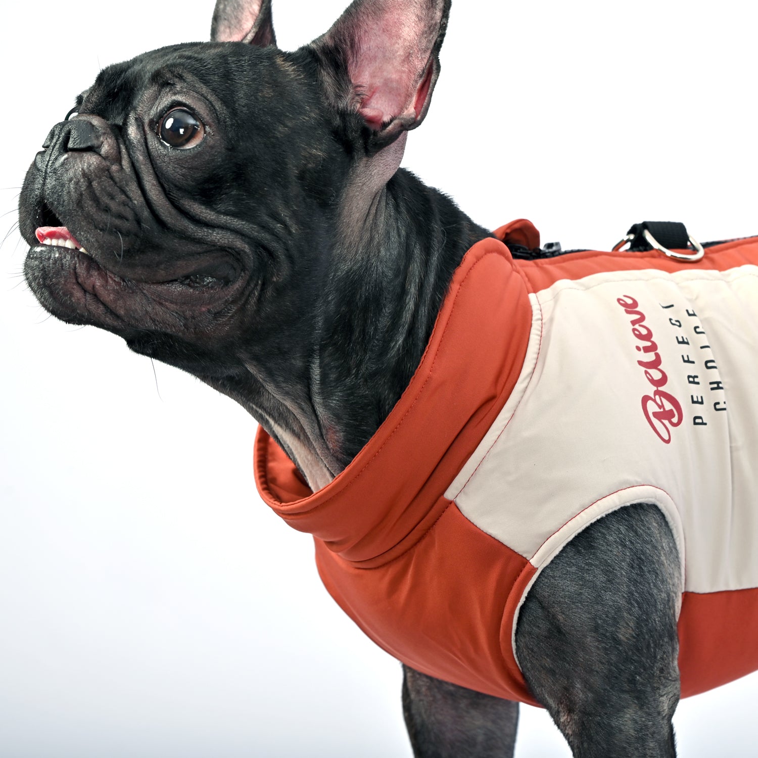 Pressure-Balanced Frostbite Outfit - Frenchie Winter Jacket With Harn...