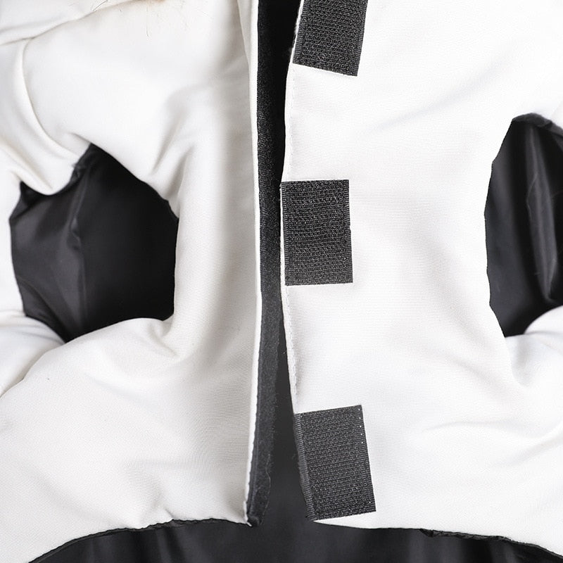 Pet-Lover Trendy Winter Clothes For French Bulldog (ws390) for Street