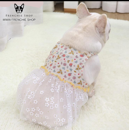 Fruit - Non-slip Skirt Frenchie Summer Dress (w319) Winter Wear