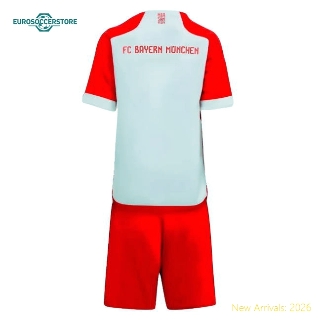 High-quality Mini Football Team Jersey 2023-2024 Machine-washable