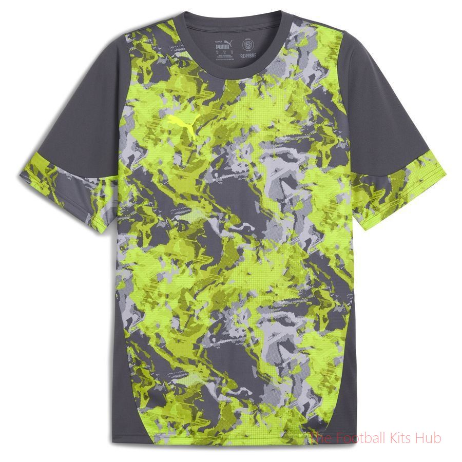 PUMA Training T-Shirt IndividualCUP - Galactic Gray/Multicolor