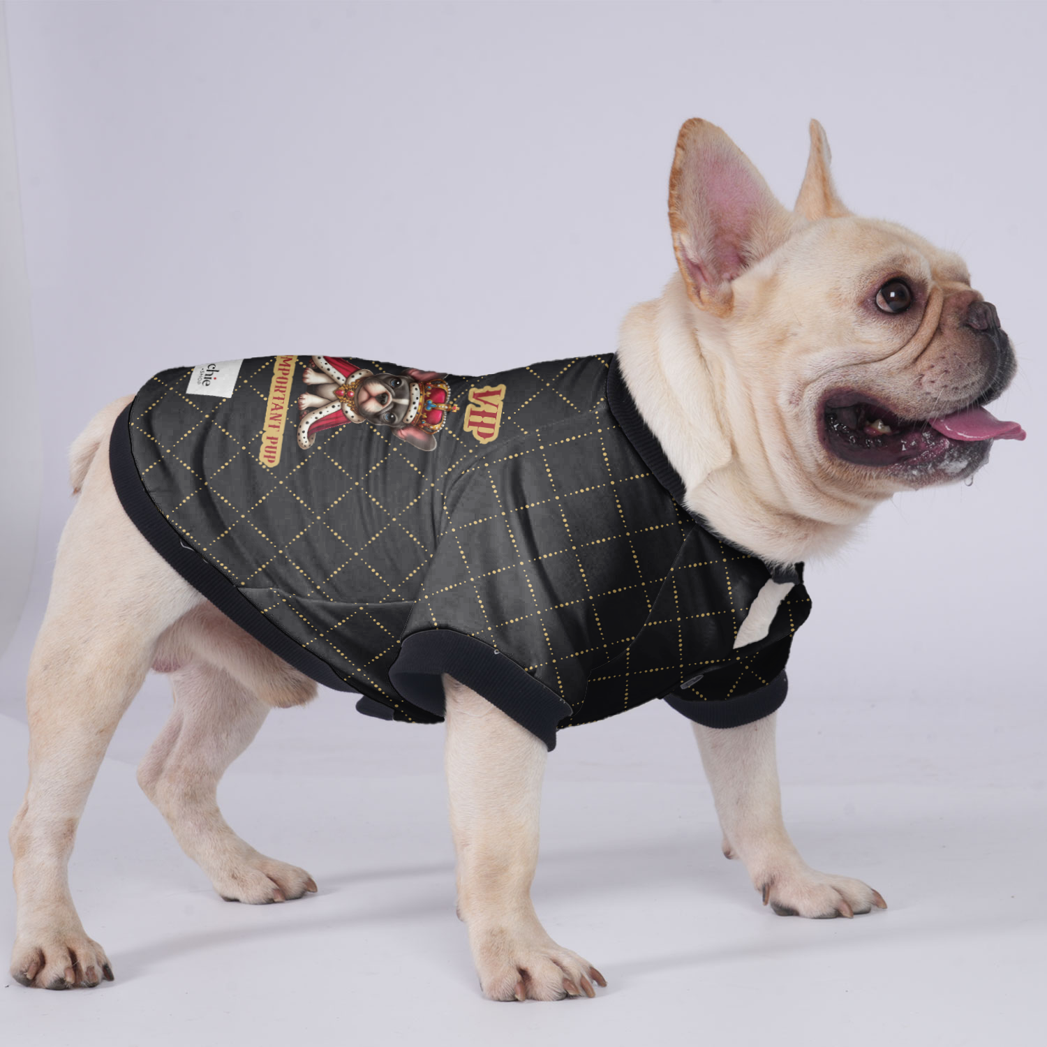 French Bulldog Vip (very Important Pup ) Jacket For French Bulldog Warm Dog Outfit