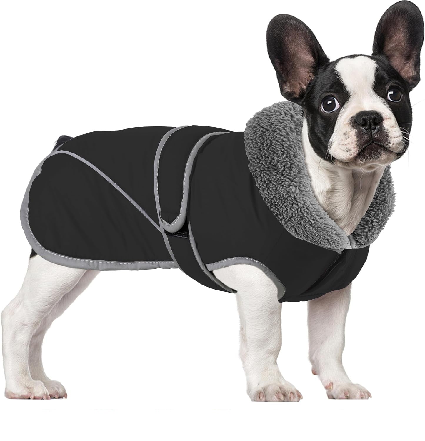 Jacket – Winter Waterproof Dog Outfit Paw Protection | Breed-optimized