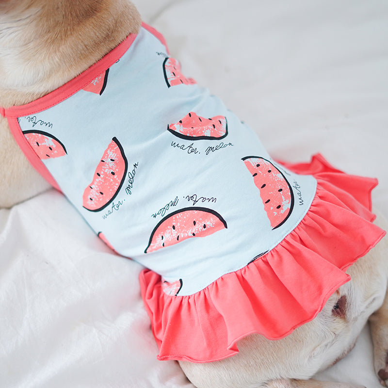 French Bulldog Watermelon Shirt For Summer Useful Frenchie Gear