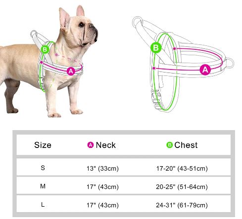 PrintPup No Pull Frenchie Harness with Unique Print Patterns