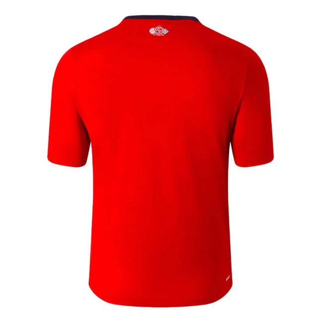Official 2024-2025 Lille Home With Retro Design - Long Lasting