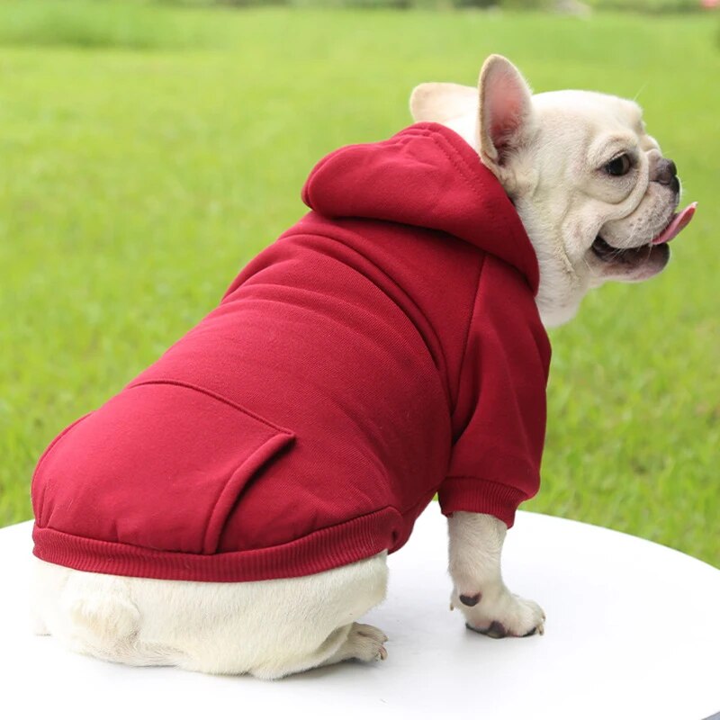 - Everyday French Bulldog Sweater Sports Style Pet Clothes Outdoor Style
