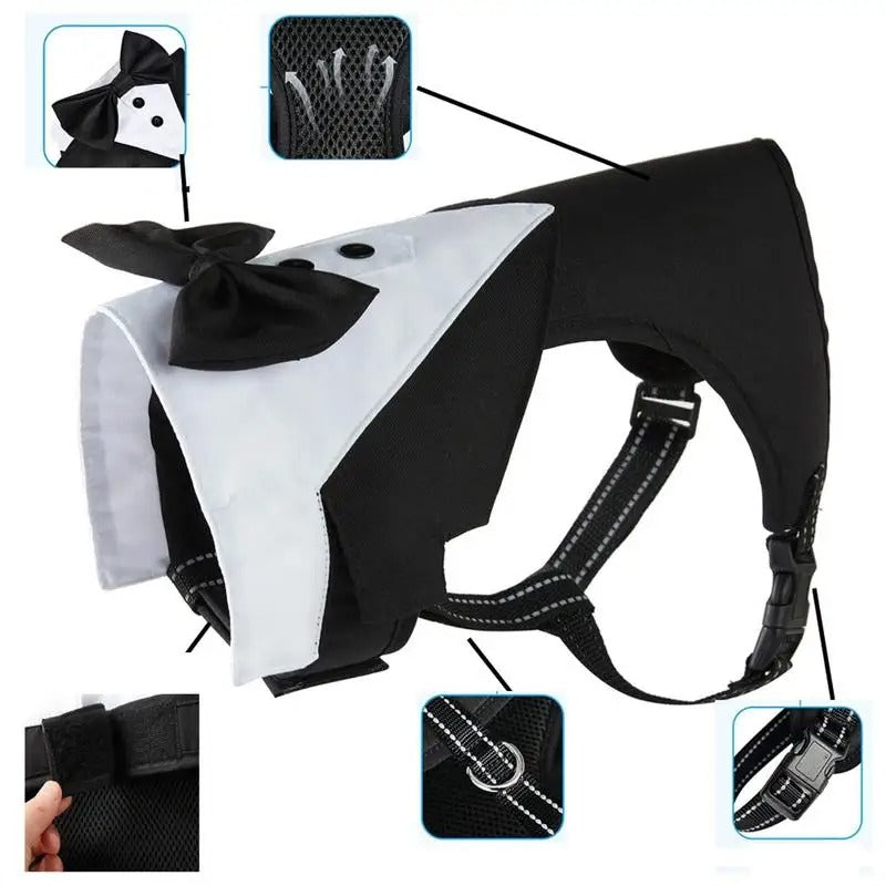 Durable French Bulldog Tuxedo Harness – Formal Dog Suit With Bow Tie ...