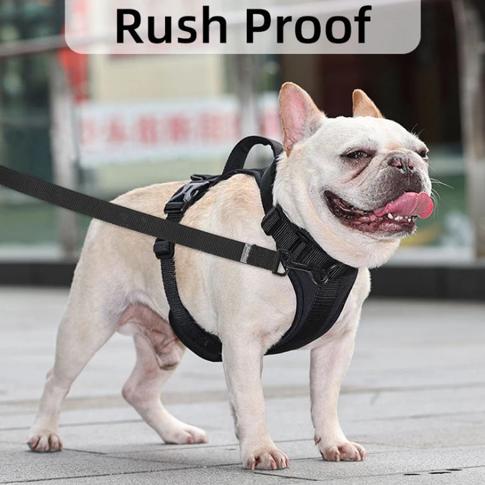No Pull Frenchie Comfort Leash Vest Walking Harness Indoor Use