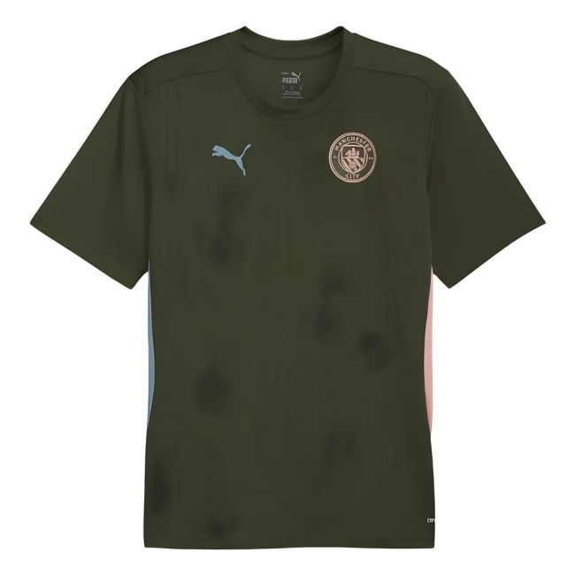Genuine Man City 2024-2025 Man City Training Shirt (Myrtle)