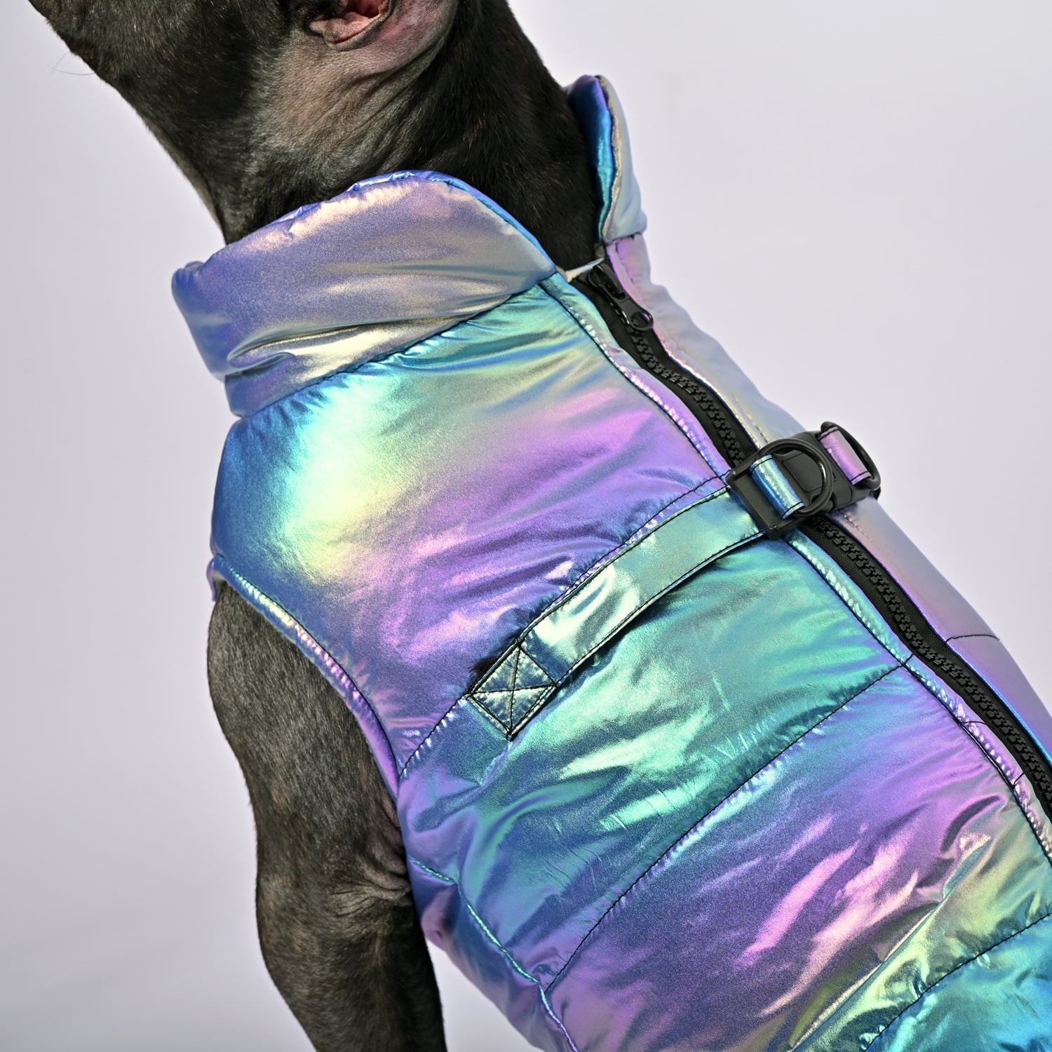 Snow Shield Frenchie Reflective Winter Warm Jacket V1