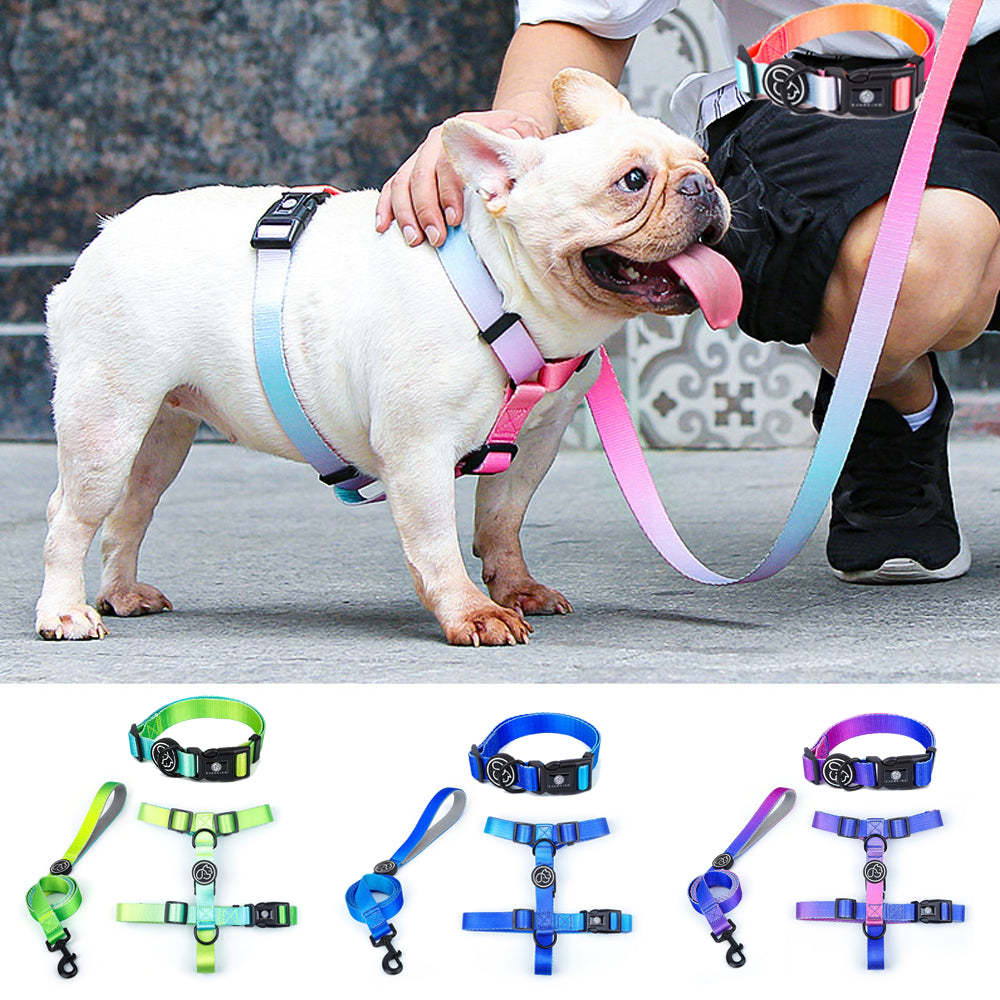 - Bulldog French Bulldog Harness And Leash Set (wj74) Dog Supplies