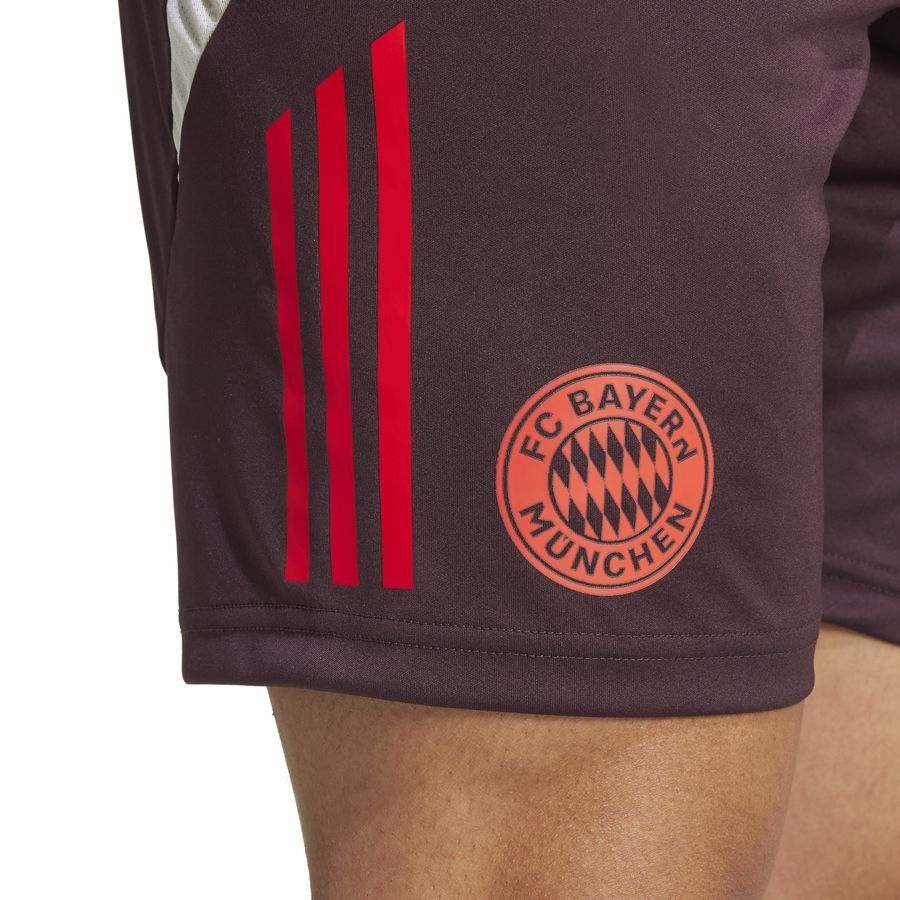 Bayern München Training Shorts Tiro 24 Shadow Maroon/red